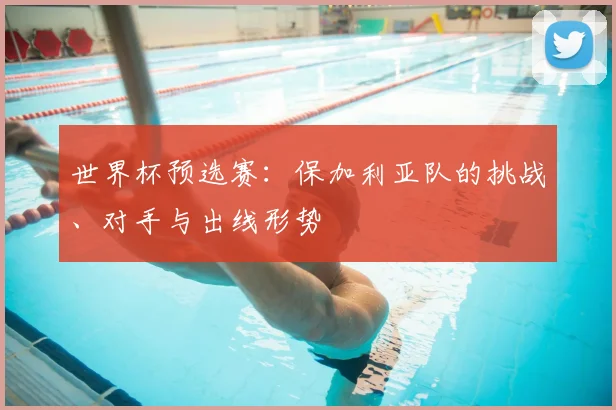 世界杯预选赛:保加利亚队的挑战、对手与出线形势