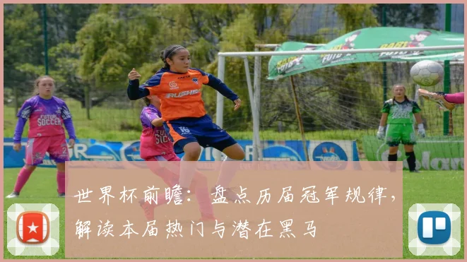 世界杯前瞻:盘点历届冠军规律,解读本届热门与潜在黑马